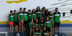 campeonato alevín