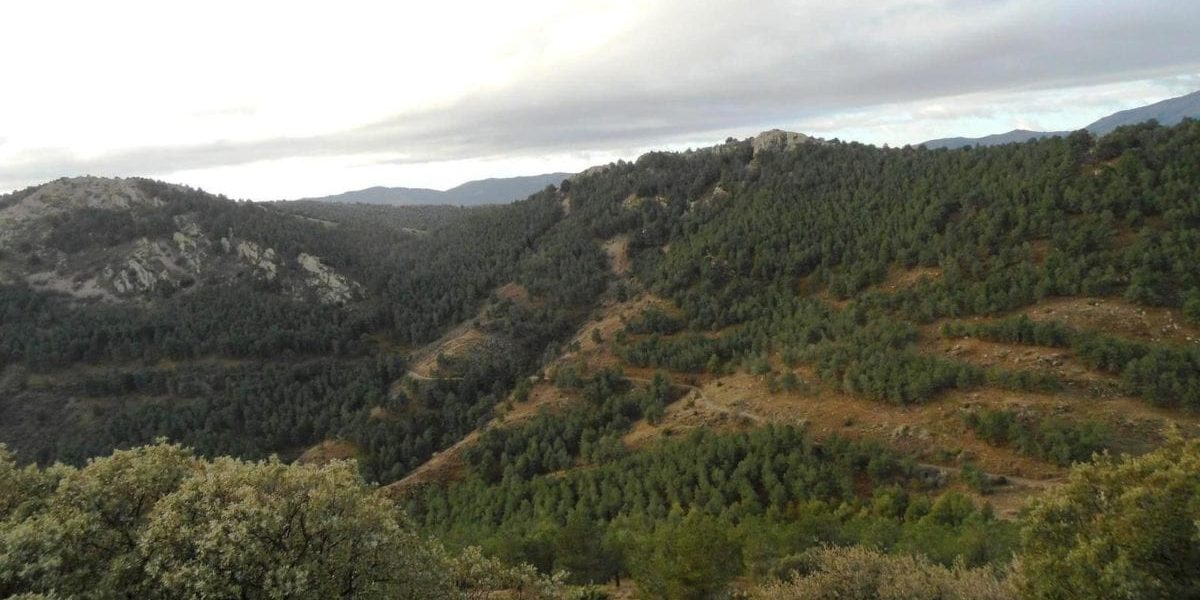 Alpartir