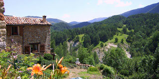 DSCF7685