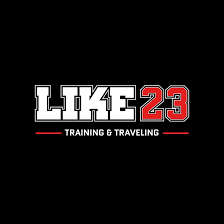 logo like 23