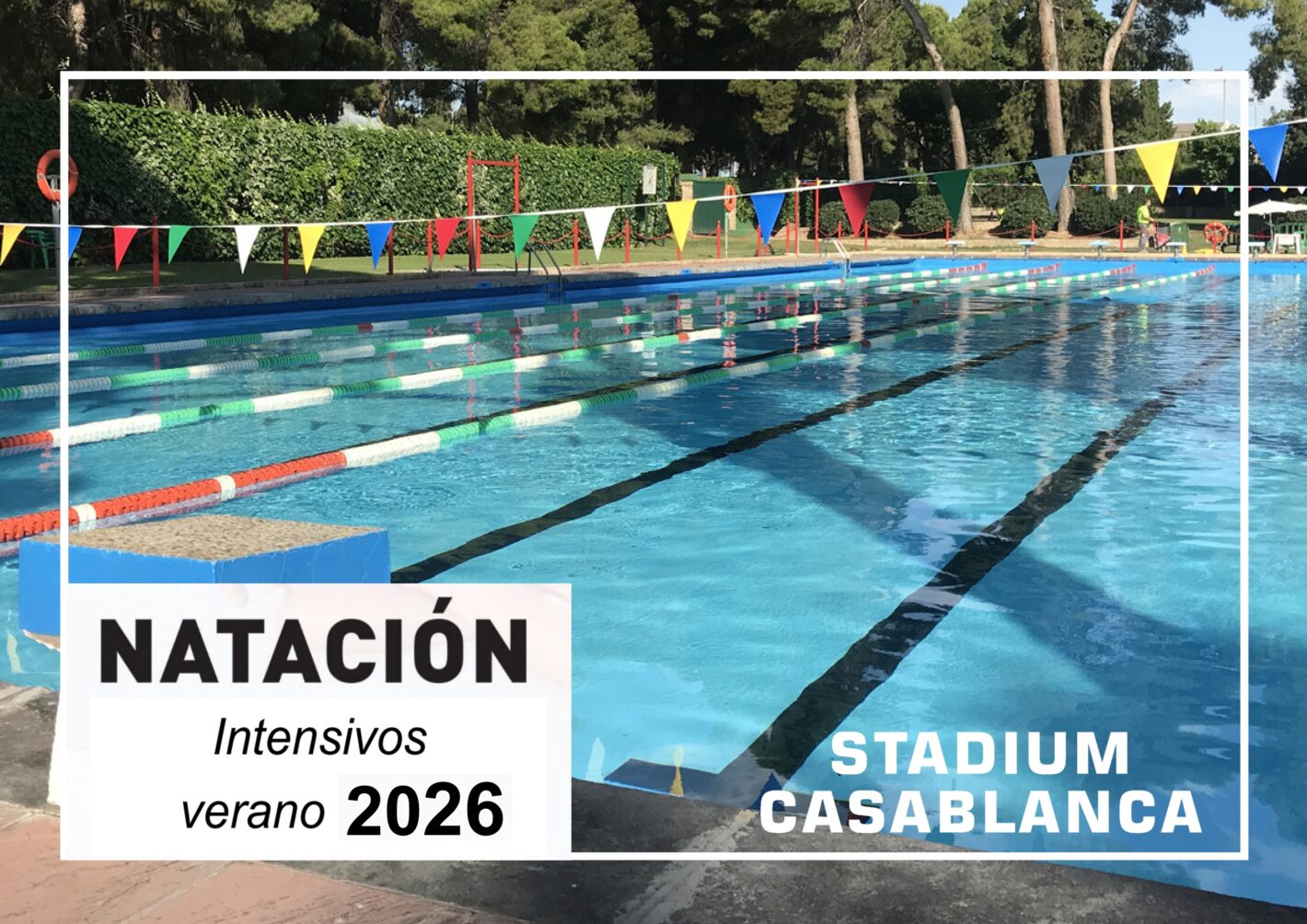 CURSILLOS NATACIÓN VERANO STADIUM (JULIO-AGOSTO 2026)_page-0001
